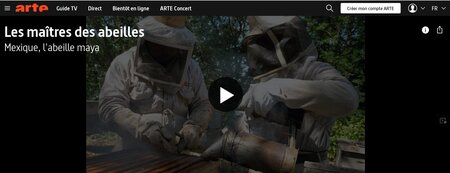Mexique, l'abeille maya (Les maîtres des abeilles , (…)