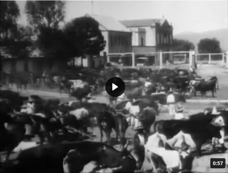 Lassage des boeufs pour le labour par Gabriel Veyre et (…)