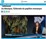 Sur France24 : Au Mexique, l'Eldorado du papillon (...)