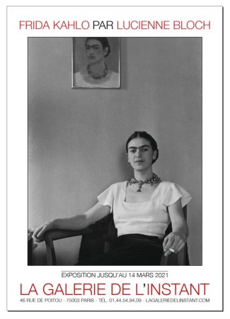 Le regard d'une artiste, Frida Kahlo par Lucienne (...)