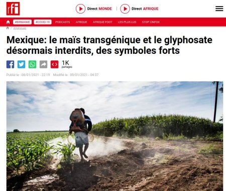 A lire sur RFI : Mexique : le maïs transgénique et le (...)